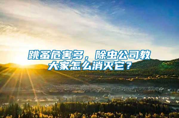 跳蚤危害多，除蟲公司教大家怎么消滅它？