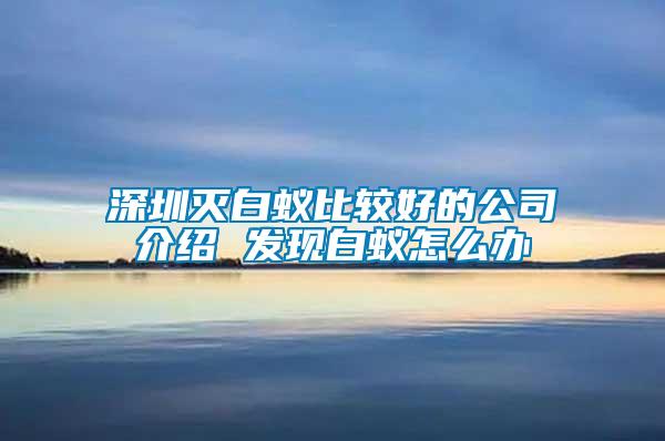 深圳滅白蟻比較好的公司介紹 發現白蟻怎么辦