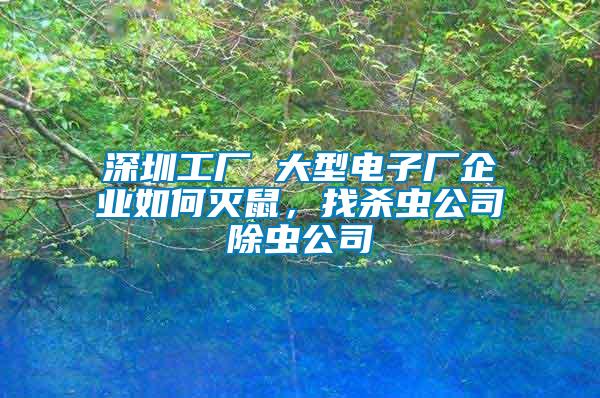 深圳工廠 大型電子廠企業如何滅鼠，找殺蟲公司除蟲公司