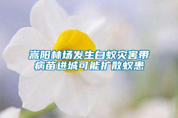 嵩陽林場發生白蟻災害帶病苗進城可能擴散蟻患