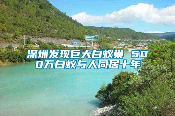 深圳發現巨大白蟻巢 500萬白蟻與人同居十年