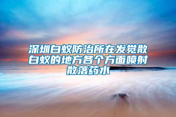 深圳白蟻防治所在發覺散白蟻的地方各個方面噴射散落藥水