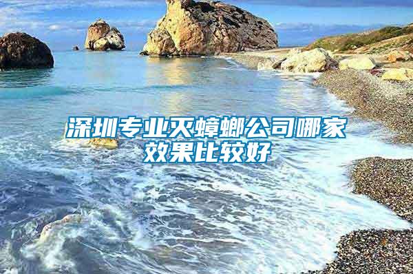 深圳專業滅蟑螂公司哪家效果比較好