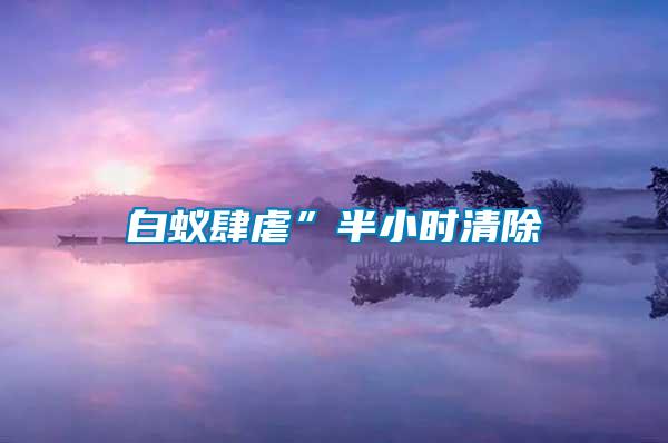 白蟻肆虐”半小時清除