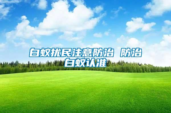 白蟻擾民注意防治 防治白蟻認準