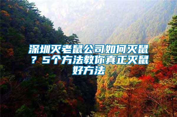 深圳滅老鼠公司如何滅鼠？5個方法教你真正滅鼠好方法