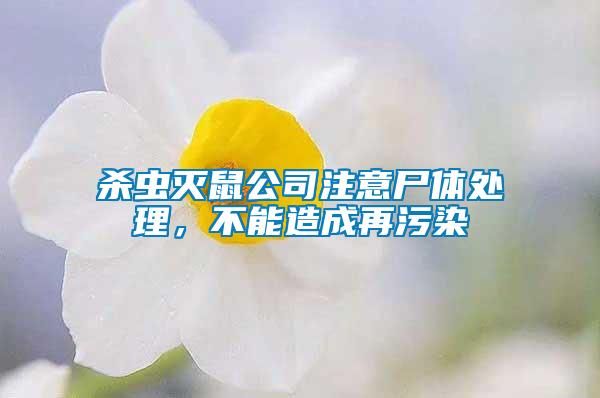 殺蟲滅鼠公司注意尸體處理，不能造成再污染