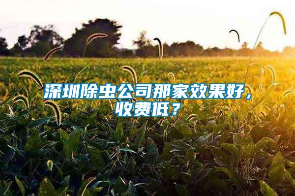 深圳除蟲公司那家效果好，收費低？