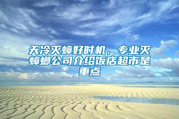 天冷滅蟑好時機，專業滅蟑螂公司介紹飯店超市是重點