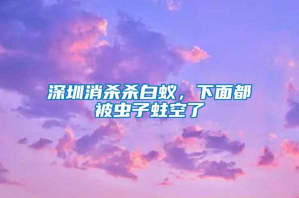 深圳消殺殺白蟻，下面都被蟲子蛀空了