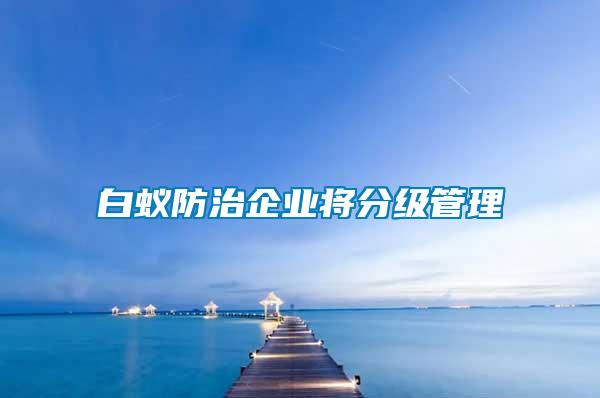 白蟻防治企業將分級管理