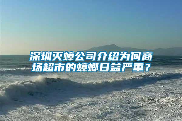 深圳滅蟑公司介紹為何商場超市的蟑螂日益嚴重？