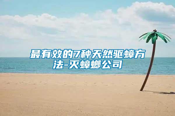 最有效的7種天然驅蟑方法-滅蟑螂公司