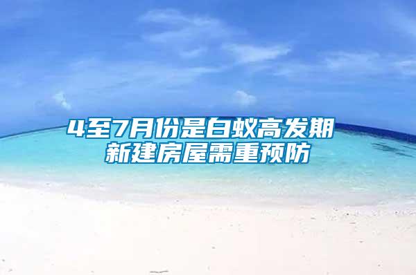 4至7月份是白蟻高發期 新建房屋需重預防