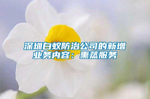 深圳白蟻防治公司的新增業務內容：熏蒸服務