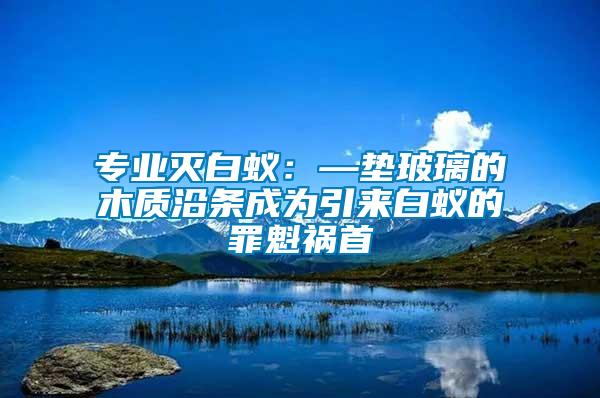 專業滅白蟻：—墊玻璃的木質沿條成為引來白蟻的罪魁禍首