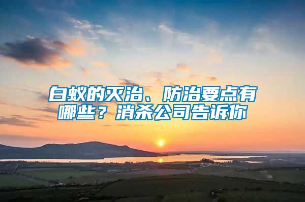 白蟻的滅治、防治要點有哪些？消殺公司告訴你