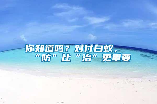 你知道嗎？對付白蟻，“防”比“治”更重要