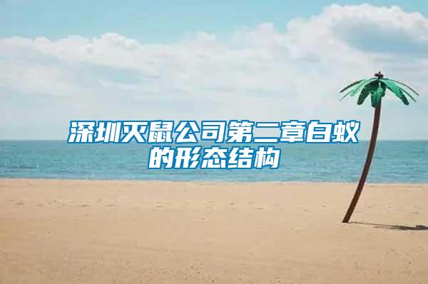 深圳滅鼠公司第二章白蟻的形態結構