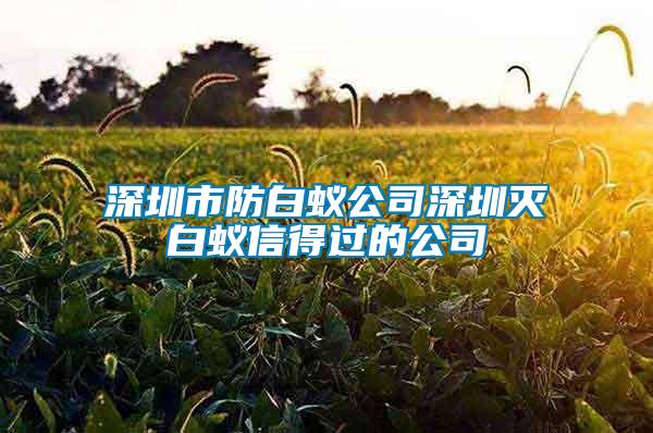 深圳市防白蟻公司深圳滅白蟻信得過的公司