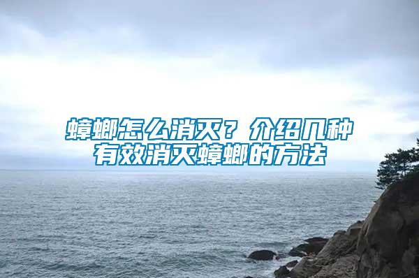 蟑螂怎么消滅？介紹幾種有效消滅蟑螂的方法