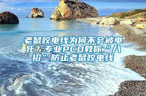 老鼠咬電線為何不會被電死？專業PCO教你“八招”防止老鼠咬電線