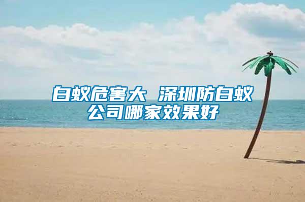 白蟻危害大 深圳防白蟻公司哪家效果好