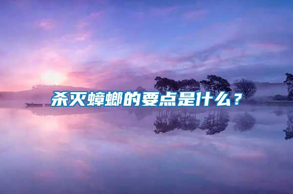 殺滅蟑螂的要點是什么？