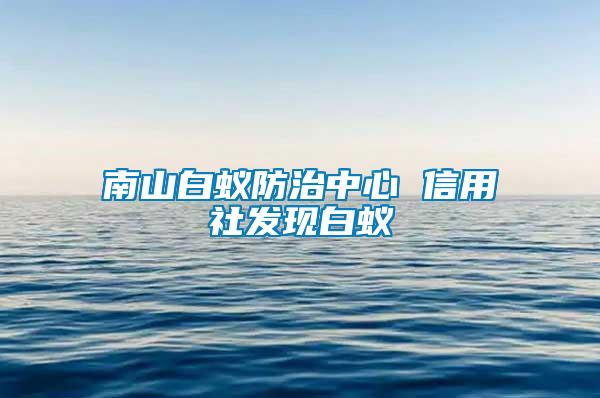 南山白蟻防治中心 信用社發現白蟻