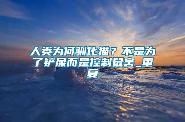 人類為何馴化貓？不是為了鏟屎而是控制鼠害_重復