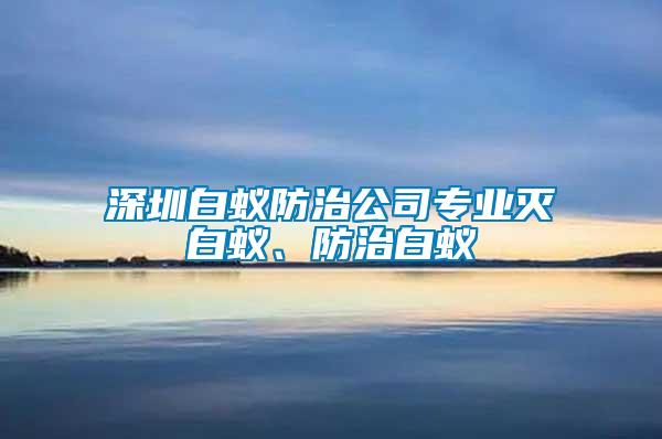 深圳白蟻防治公司專業滅白蟻、防治白蟻