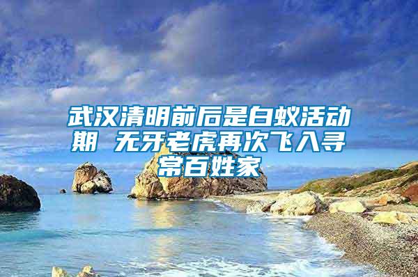 武漢清明前后是白蟻活動期 無牙老虎再次飛入尋常百姓家