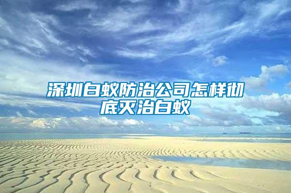 深圳白蟻防治公司怎樣徹底滅治白蟻