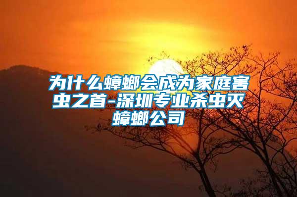 為什么蟑螂會成為家庭害蟲之首-深圳專業殺蟲滅蟑螂公司