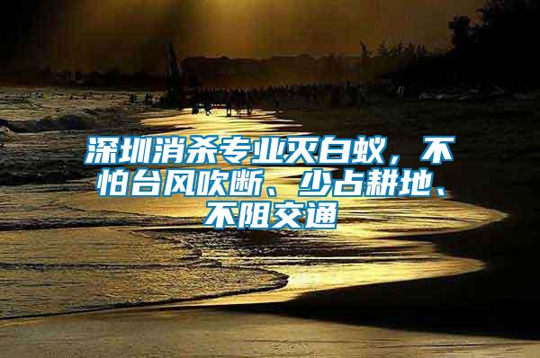 深圳消殺專業滅白蟻，不怕臺風吹斷、少占耕地、不阻交通