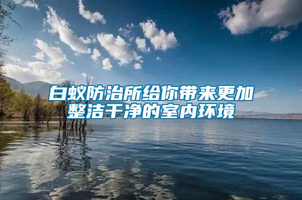 白蟻防治所給你帶來更加整潔干凈的室內環境