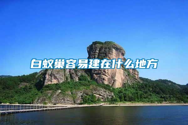 白蟻巢容易建在什么地方