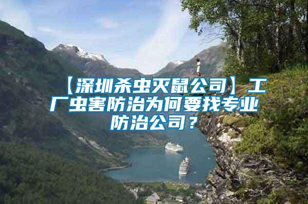 【深圳殺蟲滅鼠公司】工廠蟲害防治為何要找專業防治公司？