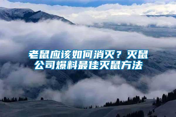 老鼠應該如何消滅？滅鼠公司爆料最佳滅鼠方法