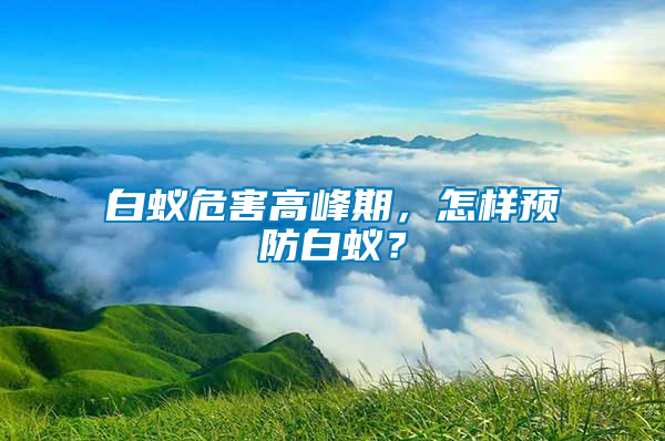 白蟻危害高峰期，怎樣預防白蟻？