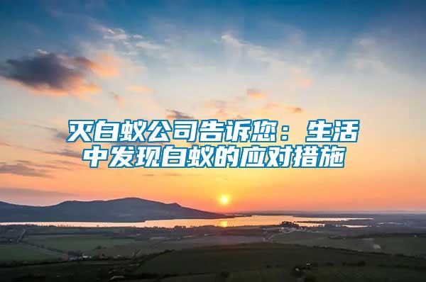 滅白蟻公司告訴您：生活中發現白蟻的應對措施