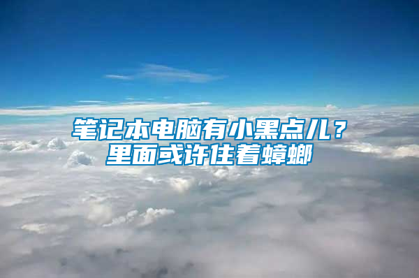 筆記本電腦有小黑點兒？里面或許住著蟑螂