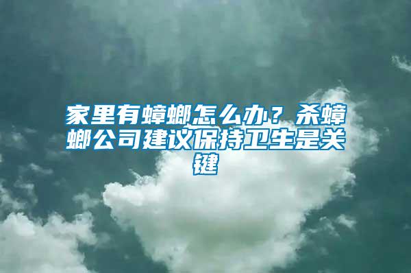 家里有蟑螂怎么辦？殺蟑螂公司建議保持衛生是關鍵