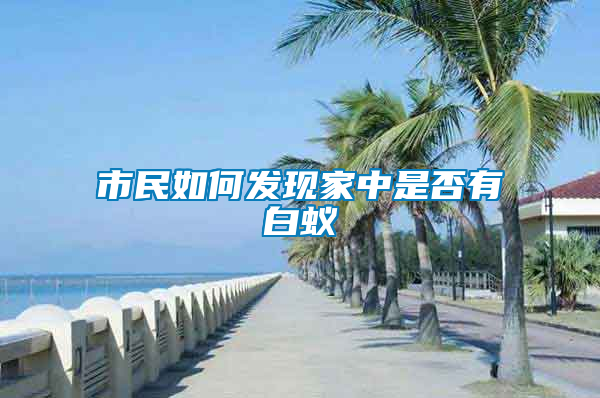 市民如何發現家中是否有白蟻