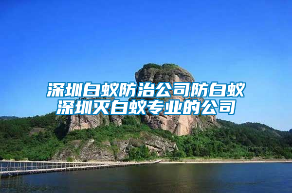 深圳白蟻防治公司防白蟻深圳滅白蟻專業的公司