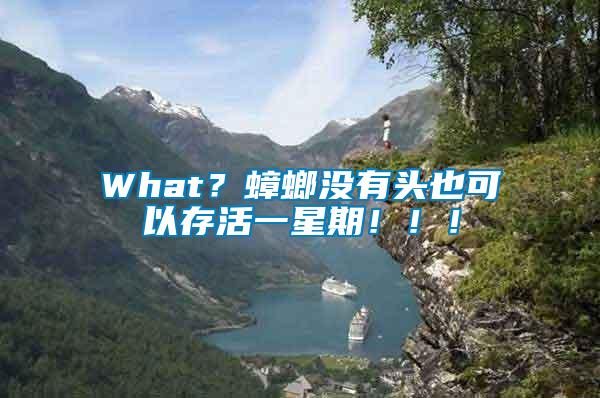 What？蟑螂沒有頭也可以存活一星期?。。?/></p>
             <p style=