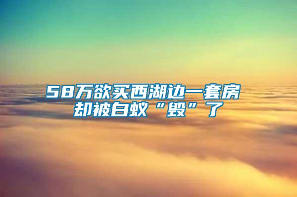 58萬欲買西湖邊一套房 卻被白蟻“毀”了