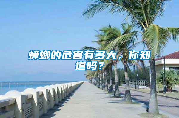 蟑螂的危害有多大，你知道嗎？