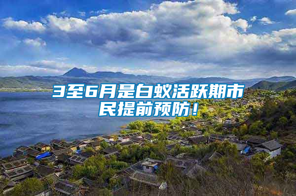 3至6月是白蟻活躍期市民提前預防！