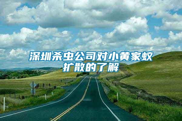 深圳殺蟲公司對小黃家蟻擴散的了解